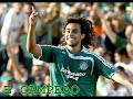Palmeiras, Minha vida é você!! Palmeiras, Minha vida é você!!