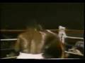 Mike Tyson's best K.O.'s