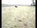 roma fatiguée.mp4