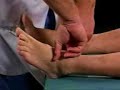 6-Inspection and Palpation - Pulses, Lower Extremeties 6-Inspection and Palpation - Pulses, Lower Extremeties