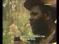rastaman weed