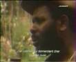cannabis-inna-jamaic