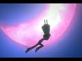 AMV- Tsubasa Chronicles