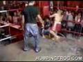 videos de Paquiao Vs Dela Hoya PREVIEW.wmv