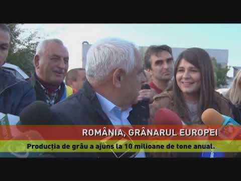Producţia de grâu a ajuns la 10 milioane de tone anual