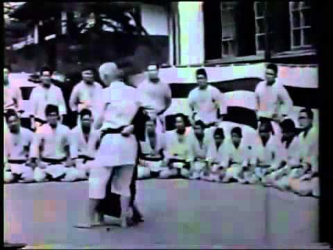 Maestros De Las Artes Marciales KARATE.flv