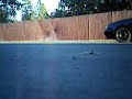 jetta burnout