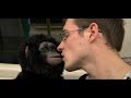 The Monkey