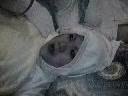 submitted by admin on Tue Dec 2 2008 at 10:15pm
