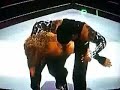 jeff hardy tribute