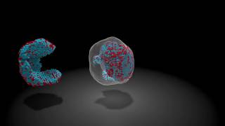 Scientists Determine Precise 3-D Location and Identity of All 23,000 Atoms in a Nanoparticle