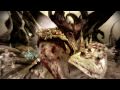 sloth_fight_v2.mp4