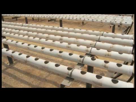 Homemade Vertical (A-Frame) Hydroponic System Facebook Https://Www ...