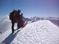 Mountain Climbing Mt Sefton New Zealand Alps