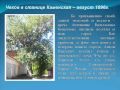 К 150 летию А П Чехова