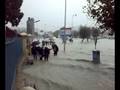 tanger el 3alia
