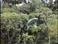 SkyFox