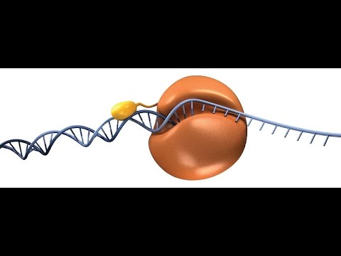 how to troubleshoot pcr