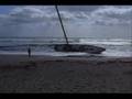 Shipwrecked !   ~  Part II  ~