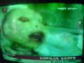 copilul sarpe real 100% copilul sarpe real 100%