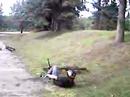 Treeride crash