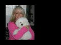 Sundance -  Rescue by Small Paws Rescue
