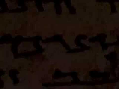 Secrets from the Lost Bible Book Video