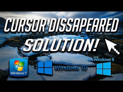 mouse cursor disappears and reappears mouse cursor disappears and reappears