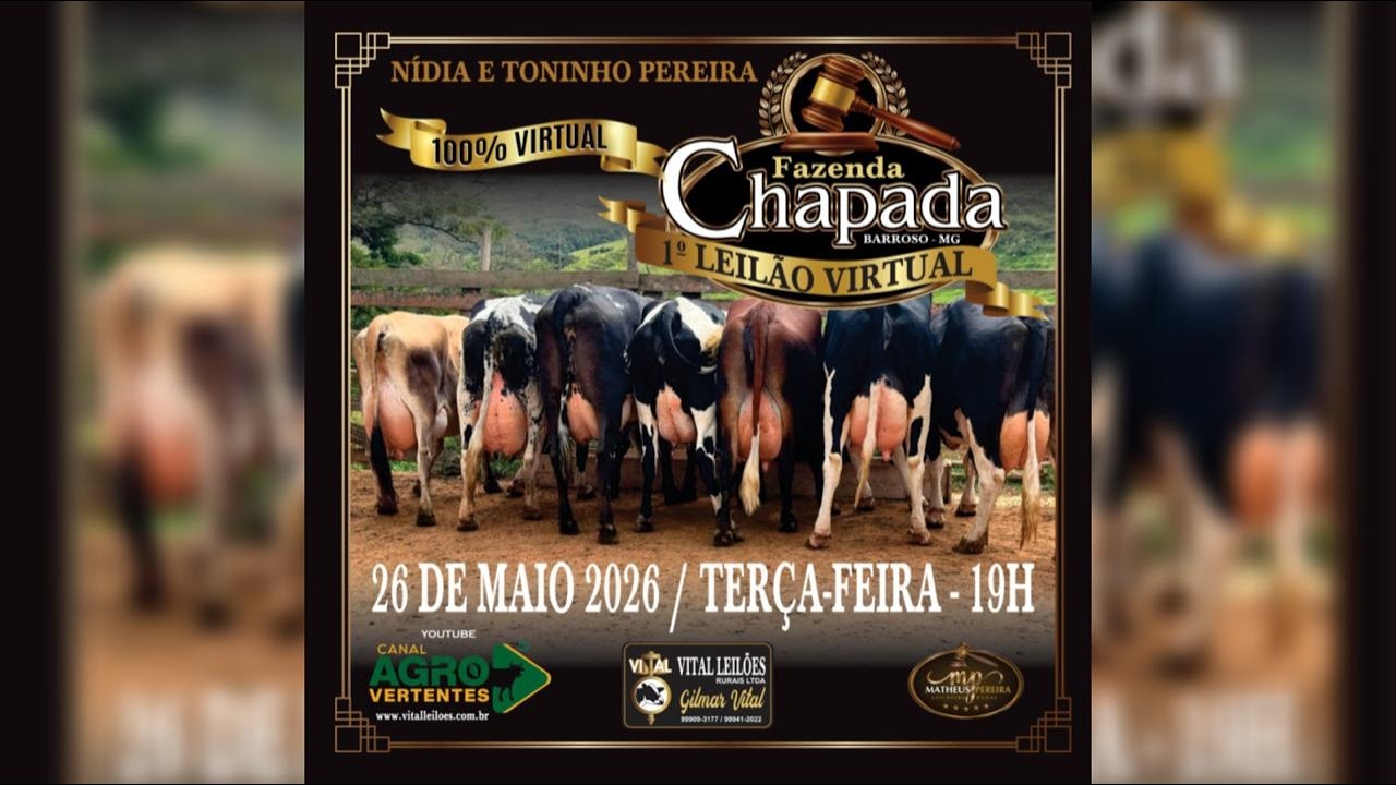 1º LEILÃO VIRTUAL FAZENDA CHAPADA -  NÍDIA E TONINHO PEREIRA - BARROSO/MG - 26/05/2026