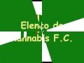 kannabis