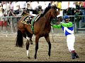 Barbaro- RIP Barbaro- RIP