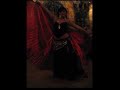 videos de Saphira erster Auftritt