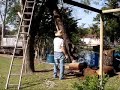 Cutting Down Pine Tree