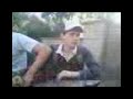 Dans Garden - Random Dans Garden - Random