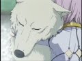 Wolf\