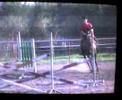 my jumpy