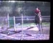 my jumpy