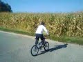 le poulin
