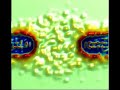 Density Contour Plot Magnetic Reconnection GEM