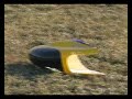 RC Helicopter self-destruction and crash