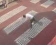 Piłka Nożna Street Football
