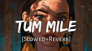 Tum Mile Slowed+Reverb - Javed Ali  Textaudio Lyri