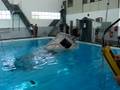 Simulador de acidente com aeronave no mar
