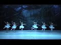 Swan Lake Swan Lake