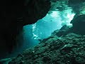 Cenote - Gran Cenote Cenote - Gran Cenote