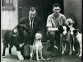 Balto Tribune-Hero