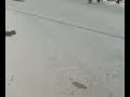 ���� ���� �������� �����