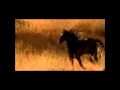 Sacred Spirit - Yane-Heja-Hee