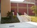 videos de my skate sesh