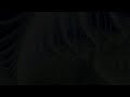 Scriabin - Prelude op 11 no 12 in G sharp minor